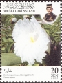 stbrn0104.jpg