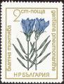 stbul2702.jpg