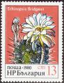 stbul2902.jpg