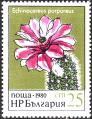 stbul2903.jpg
