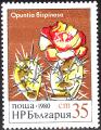 stbul2904.jpg