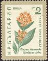 stbul9903.jpg