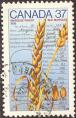 stcan9902.jpg