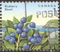 stcan9903.jpg