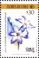 stchi0103.jpg