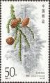 stchn0403.jpg