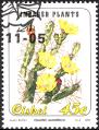 stcis0101.jpg