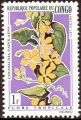 stcng0301.jpg