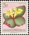 stcngb0215.jpg