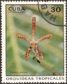 stcub0507.jpg