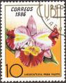 stcub1104.jpg