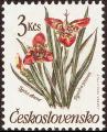 stcze0103.jpg