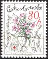 stcze0203.jpg