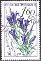 stcze1505.jpg