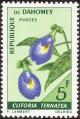stdah0102.jpg
