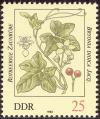 stddr1004.jpg