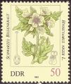 stddr1006.jpg
