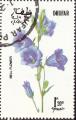 stdhu0103.jpg