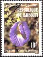 stdjb0102.jpg