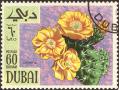 stdub0102.jpg