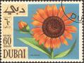 stdub0103.jpg