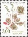 stfra0202.jpg