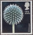 stgbr0202.jpg
