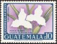 stgua0103.jpg