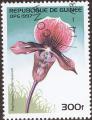 stgun0303.jpg