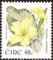 stire0103.jpg