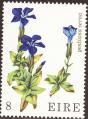 stire0201.jpg