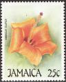 stjam0102.jpg