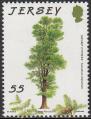stjer0702.jpg