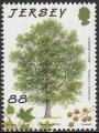 stjer0706.jpg