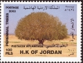 stjor0302.jpg