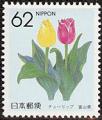 stjpn0318.jpg