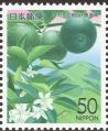 stjpn1602.jpg