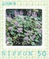 stjpn18506.jpg