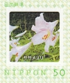 stjpn18507.jpg
