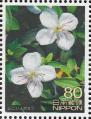 stjpn19501.jpg