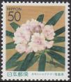stjpn6306.jpg
