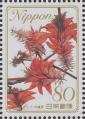stjpn8204.jpg