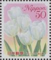 stjpn8206.jpg
