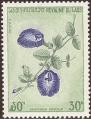 stlao0203.jpg