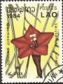 stlaor0206.jpg