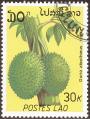 stlaor0304.jpg