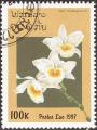 stlaor0602.jpg