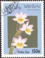 stlaor0603.jpg