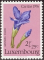 stlux0601.jpg