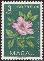 stmacp0204.jpg